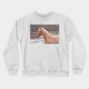 TB COLT Crewneck Sweatshirt